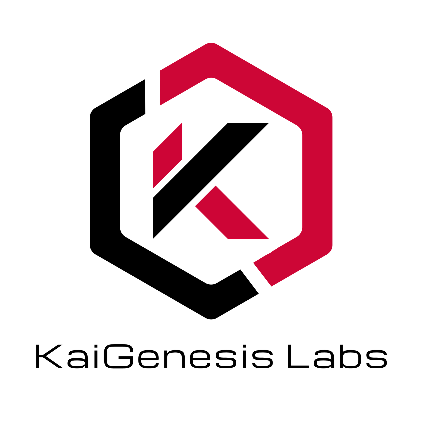 KaiGenesis Labs logo